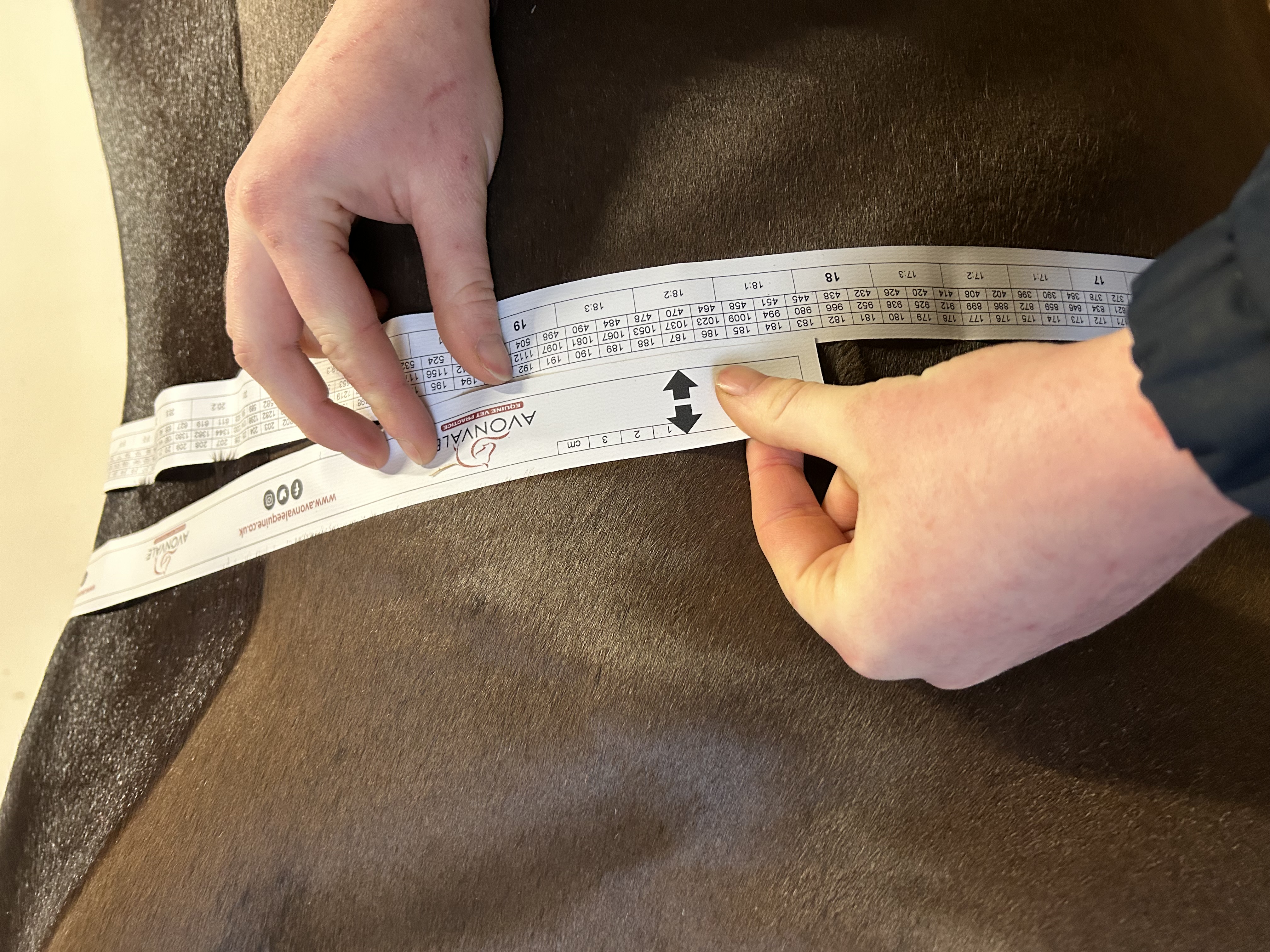 Body Condition Scoring